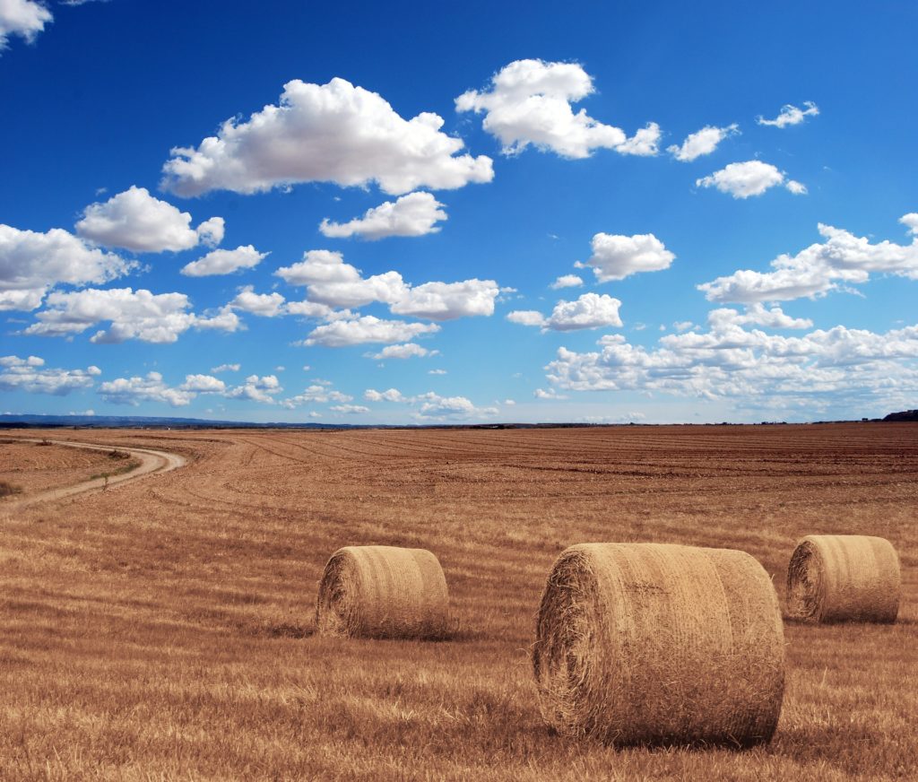 Tecnico sistema agricolo integrato